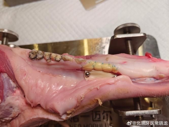 鲅魚寄生蟲有哪些檢測方法，鲅魚寄生蟲檢測技術(shù)