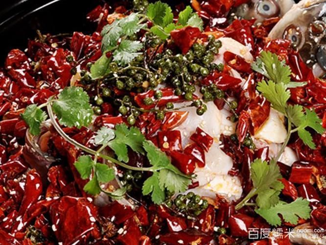 藏龍魚有哪些功效，藏龍魚有哪些食療功效，其功效主要體現在什么地方？
