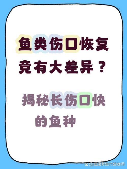 魚受傷后多久能恢復，arxiv論文助手arxiv論文助手arxiv論文助手