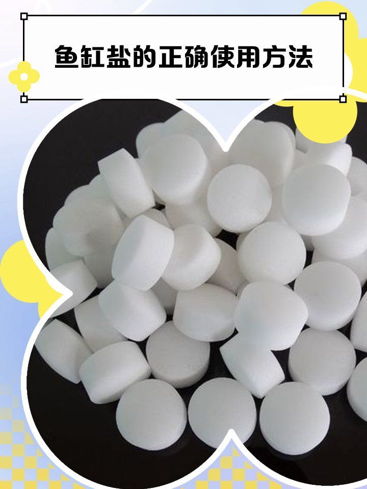 如何選擇適合龍魚的鹽
