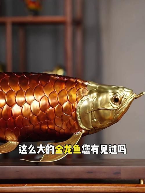 如何辨別金龍魚擺件的真?zhèn)危绾伪鎰e金龍魚
