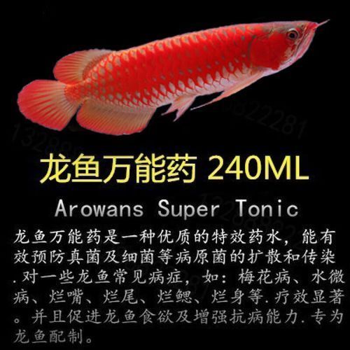 祥龍龍魚清蟲劑有哪些型號？，廈門翔安區哪個龍魚批發場規模最大？