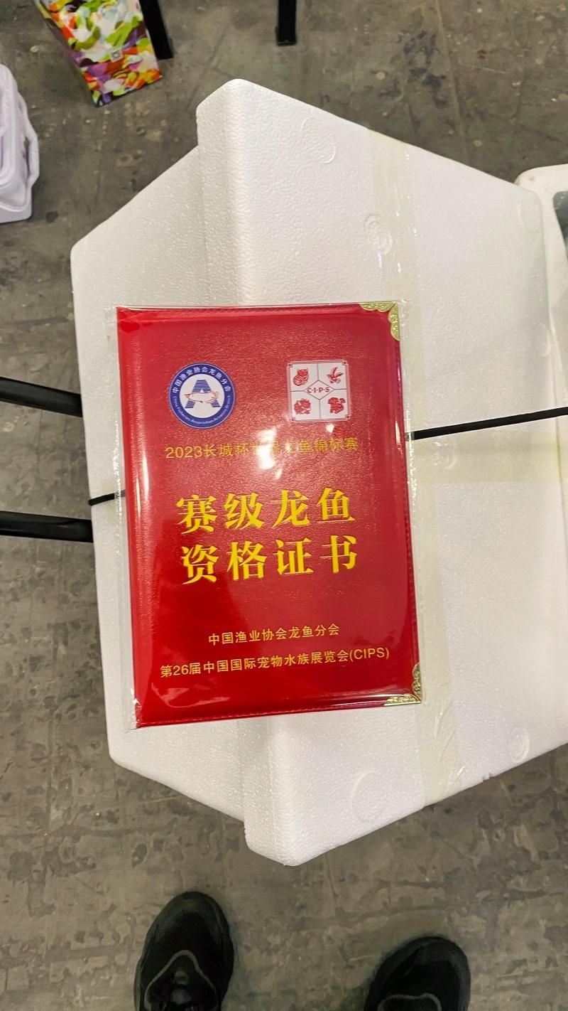 如何判斷一個龍魚場是否可靠？，判斷一個龍魚場是否可靠，用戶要求1000字內容和配圖