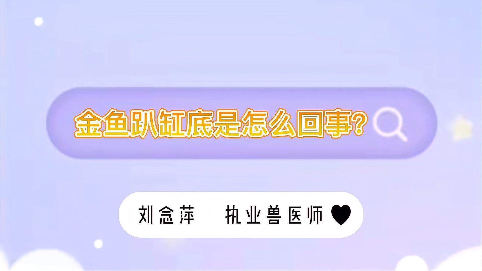 金魚趴缸底如何治療，小金魚沉在缸底不動是怎么回事