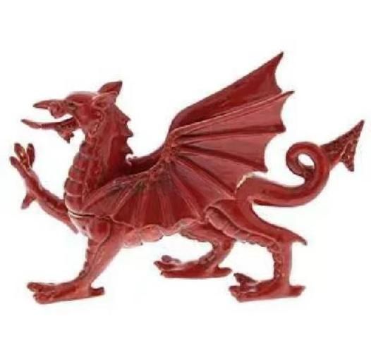 紅龍禁忌物品在哪些文化中都有，紅龍禁忌物品在不同文化中的具體含義和避諱程度