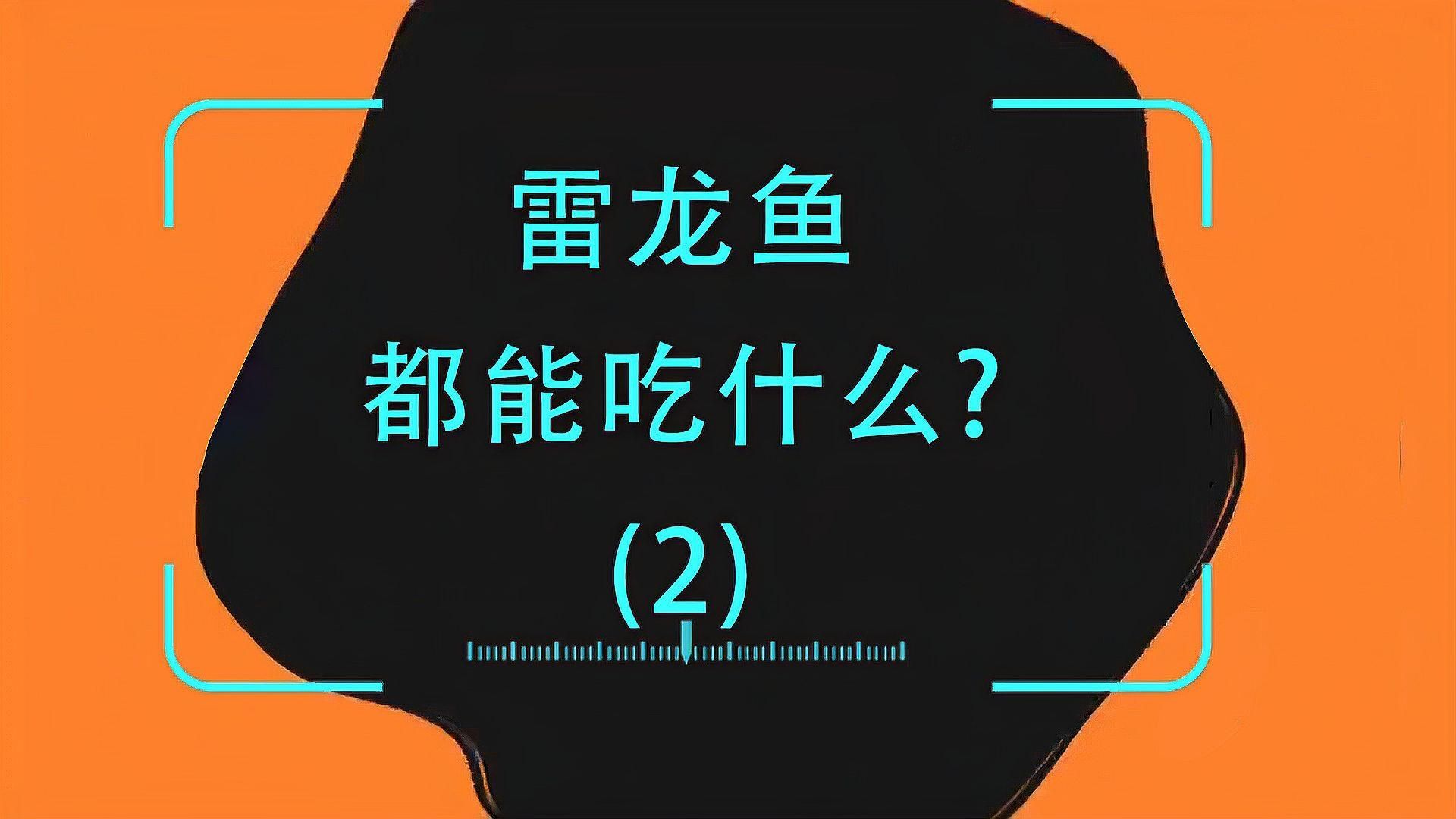 彩虹雷龍魚(yú)多久喂食一次