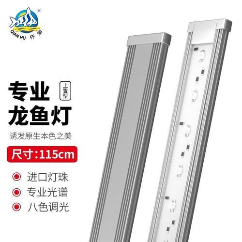 有沒有更多款式的龍魚LED燈推薦，龍魚led燈推薦