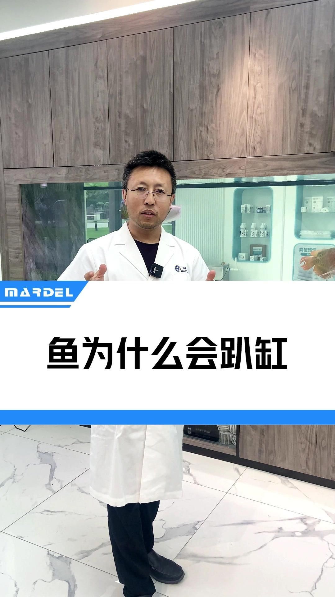 龍魚下沉缸底可能是哪些原因?qū)е碌模?></a><h4 class=
