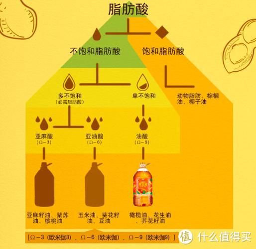 如何判斷自己是否適合吃金龍魚