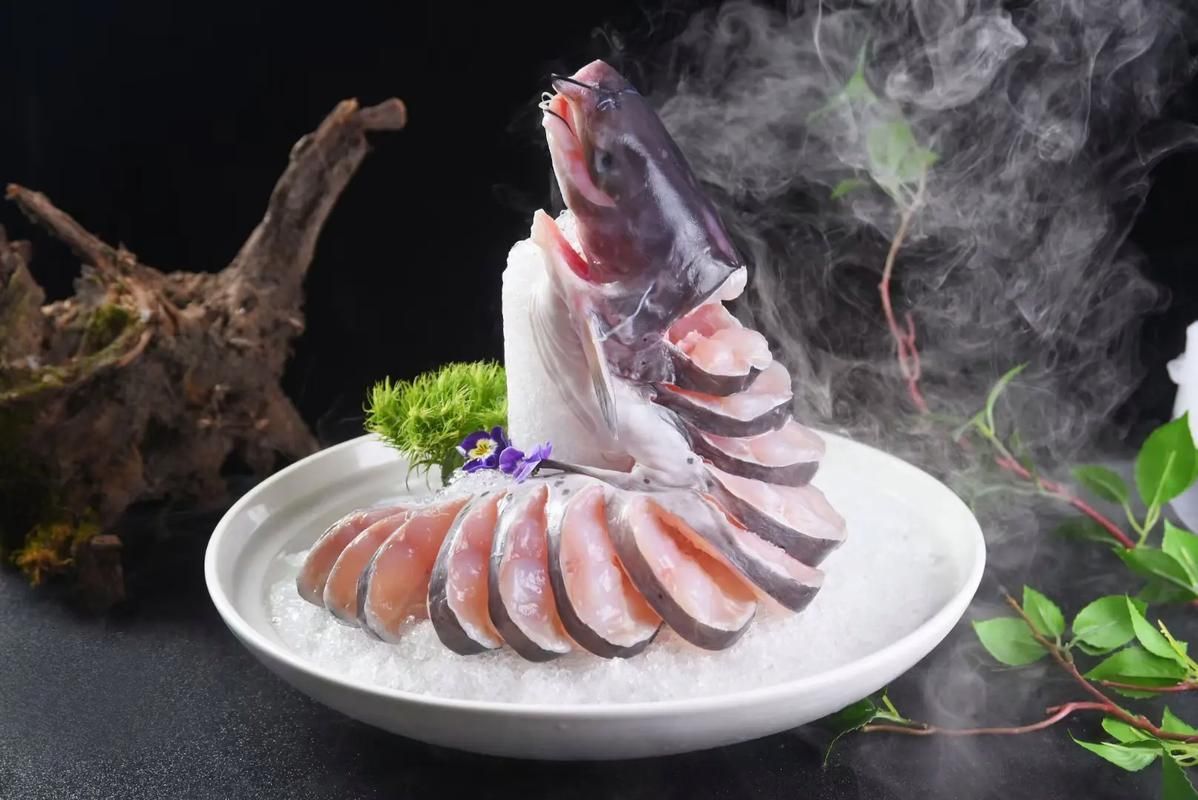 如何區分江龍魚和其他冷水魚？，如何區分江龍魚