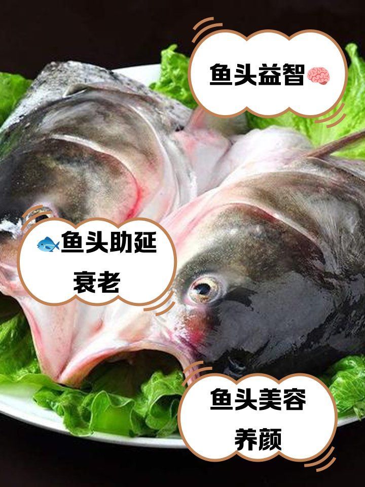 龍魚浮頭魚頭有哪些營養(yǎng)價值，龍魚浮頭有哪些營養(yǎng)價值