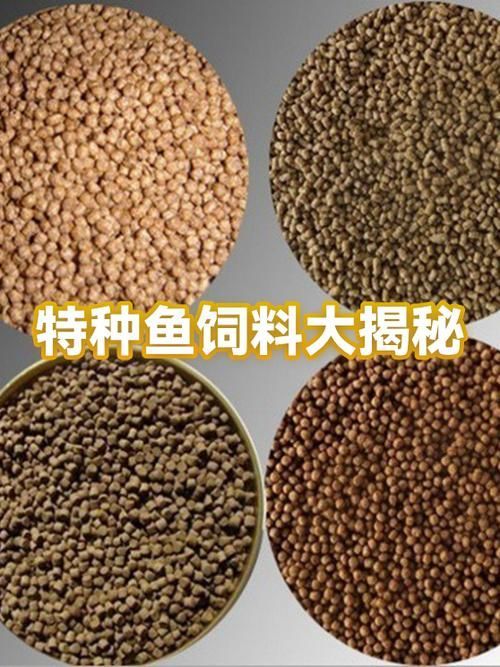 如何預(yù)防魚(yú)類細(xì)菌性疾病的發(fā)生