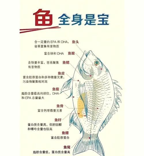 如何預(yù)防魚(yú)類細(xì)菌性疾病的發(fā)生