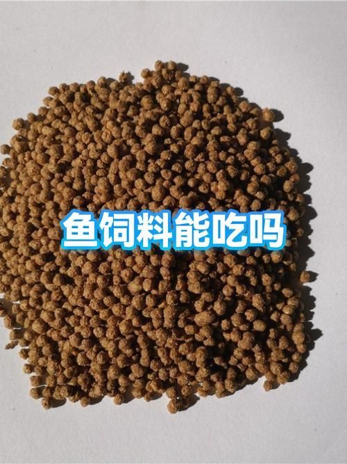 如何預(yù)防魚(yú)類細(xì)菌性疾病的發(fā)生