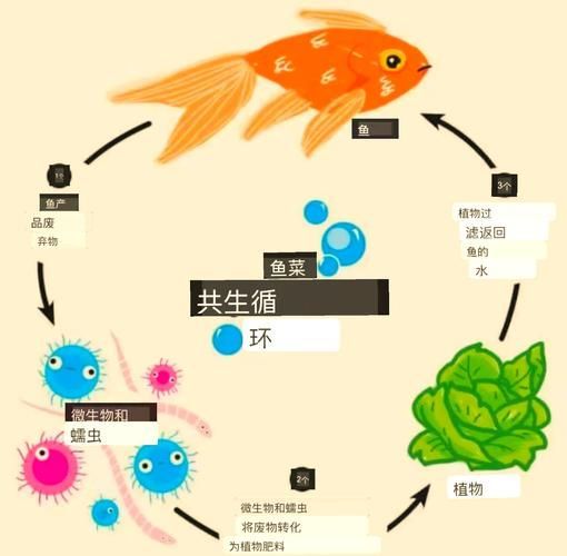 如何預(yù)防魚(yú)類細(xì)菌性疾病的發(fā)生