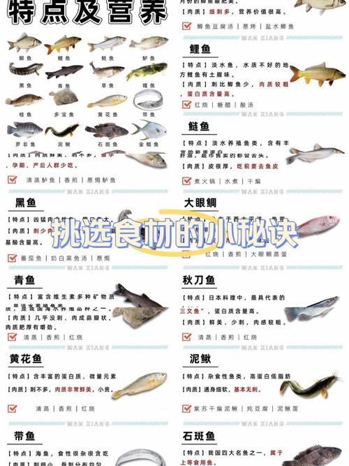 如何預(yù)防魚(yú)類細(xì)菌性疾病的發(fā)生