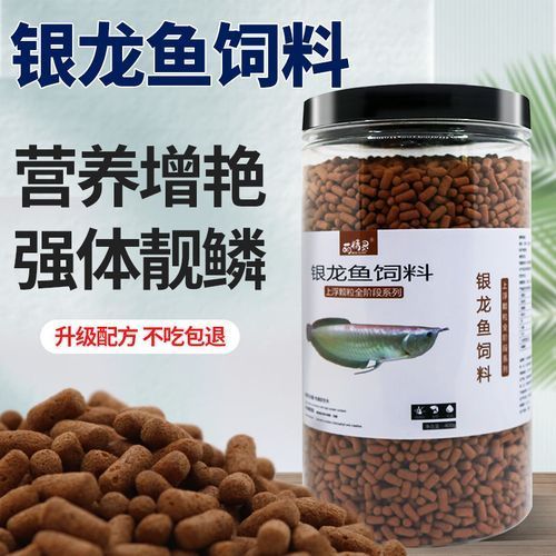 如何預防銀龍魚眼睛白膜復發，如何預防銀龍魚眼睛復發