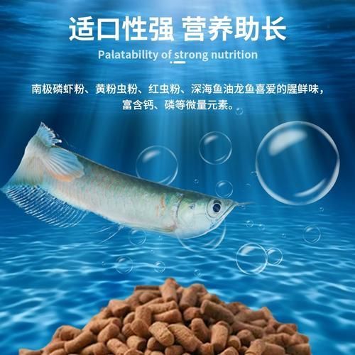 如何預防銀龍魚眼睛白膜復發，如何預防銀龍魚眼睛復發