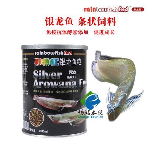 如何預防銀龍魚眼睛白膜復發，如何預防銀龍魚眼睛復發