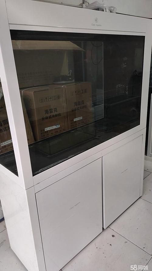 能提供更多可麗愛魚缸的圖片嗎？，可麗愛魚缸怎么樣