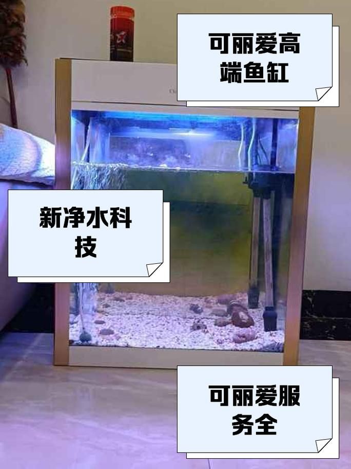 能提供更多可麗愛魚缸的圖片嗎？，可麗愛魚缸怎么樣