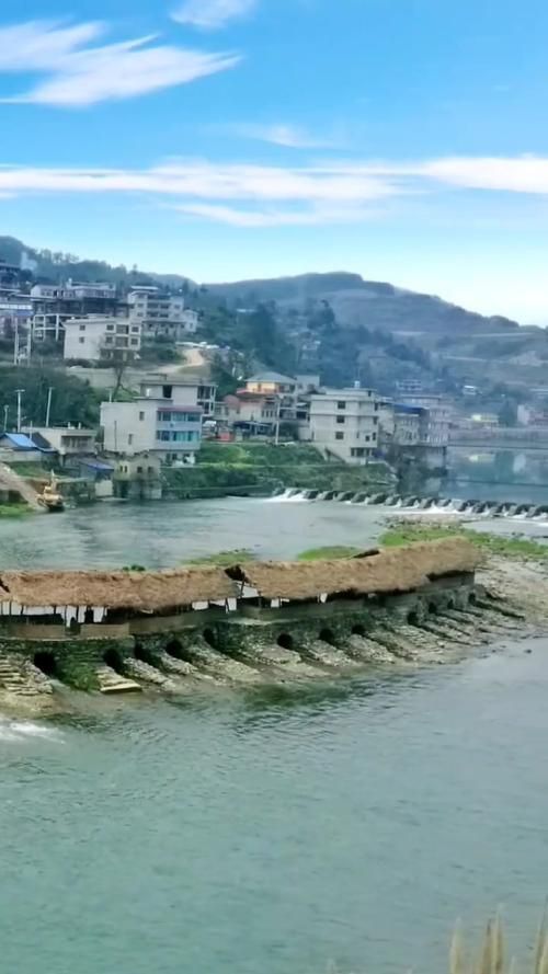 黃平龍魚的產地環境，關于黃平龍魚的認定