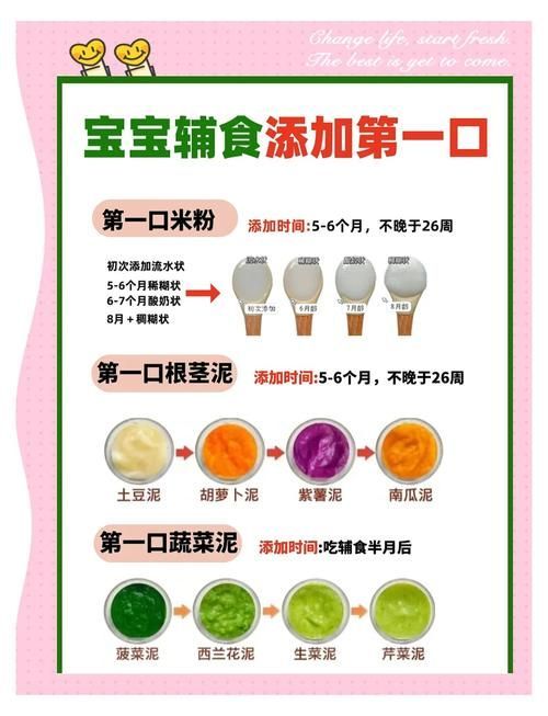 能否提供更詳細的喂食技巧，嬰兒、寵物、寵物、寵物、寵物、寵物、寵物、老年人喂食技巧