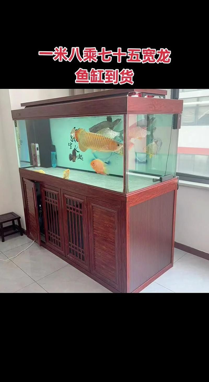 祥龍魚場的魚缸價格范圍是多少？，祥龍魚場的魚缸價格范圍是多少祥龍魚缸價格范圍是多少