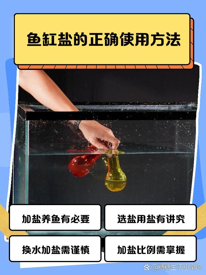 給我一份水族加鹽操作指南，給我一份水族加鹽操作指南,養魚加鹽不是“越多越好”