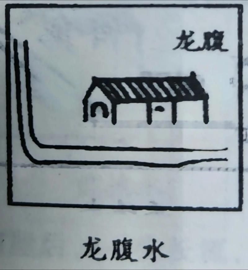 如何判斷龍魚腹水是否由感染引起？，如何判斷龍魚腹水