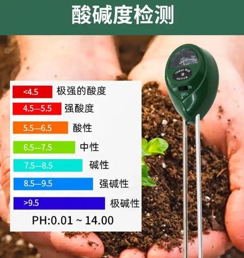 龍魚腹水最忌三種東西，龍魚腹水三大“最忌”
