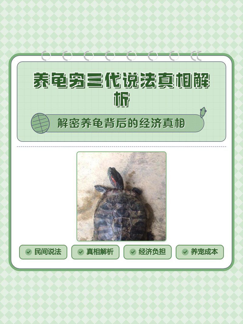 養(yǎng)龜窮三代是否真實