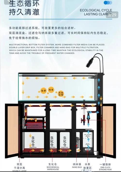 立達龍魚的成活率高嗎？，立達龍魚的成活率