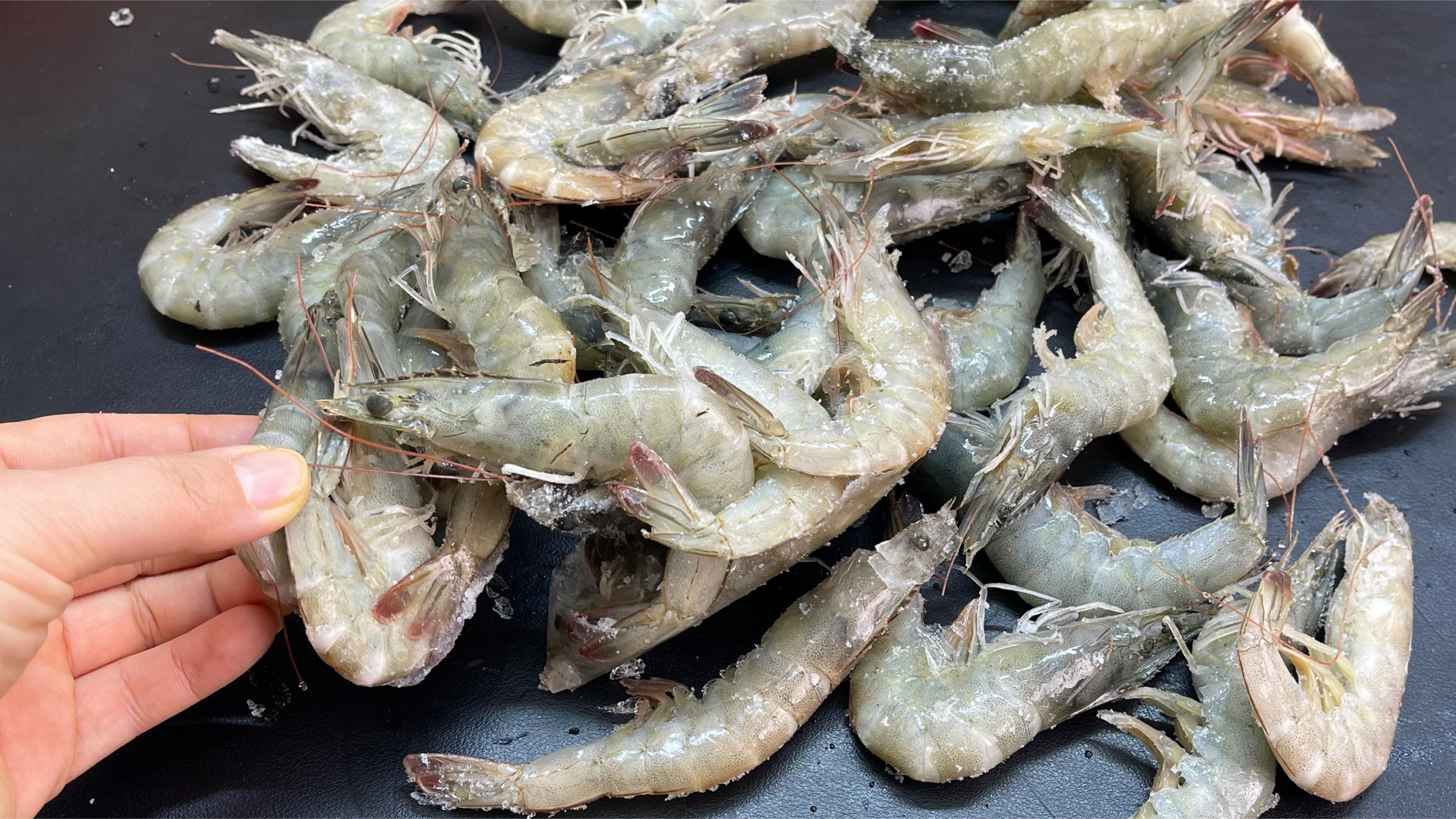 龍魚吃海蝦仁有哪些注意事項？，龍魚吃海蝦仁有哪些注意事項龍魚吃海蝦仁有哪些注意事項