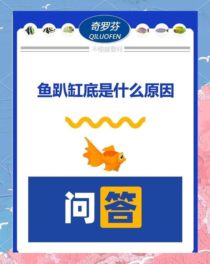 金龍魚趴缸底是表示它生病了嗎？，金龍魚趴缸底可能是由于多種原因導致的，不一定意味著它生病了