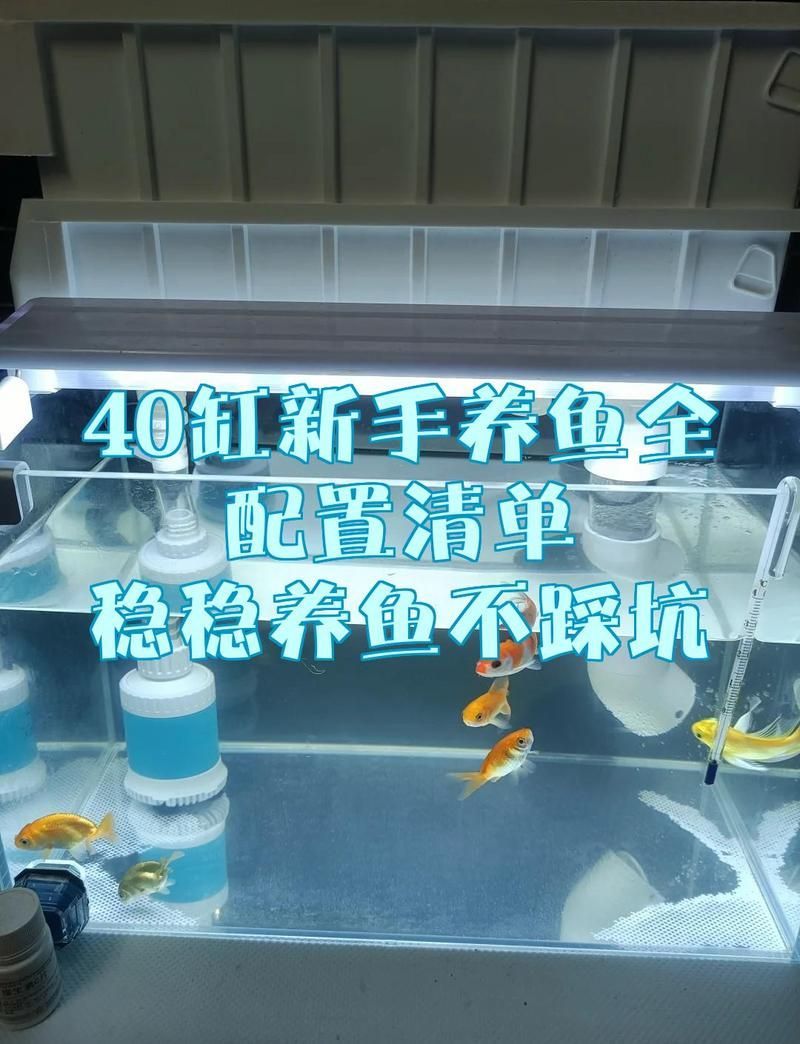40缸養魚需要哪些設備，40缸養魚全配置清單