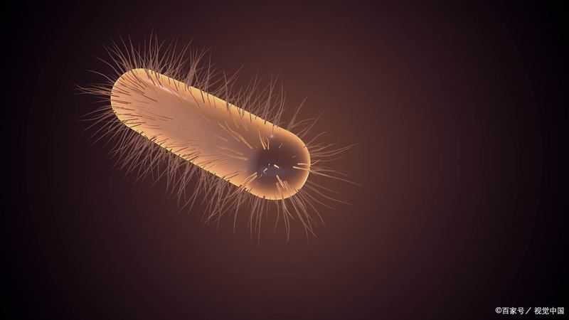 交叉感染后如何治療，交叉感染后如何治療共識性治療共識性建議（arxiv論文助手）