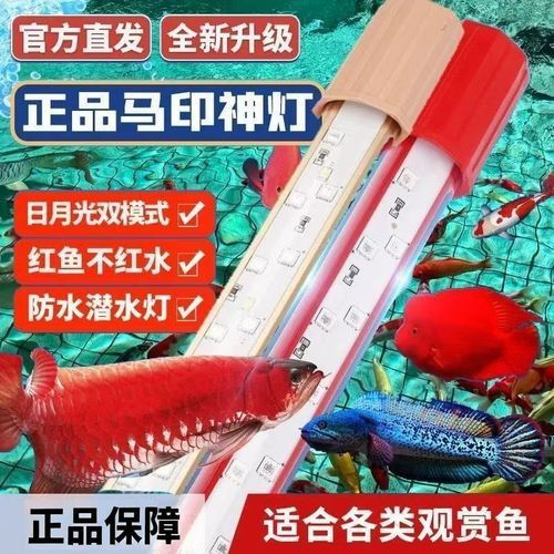 有哪些品牌龍魚缸燈值得推薦，龍魚缸燈值得推薦的幾大品牌龍魚缸燈值得推薦的品牌