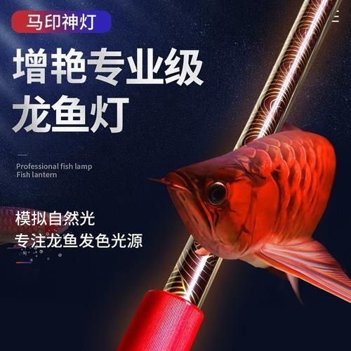 有哪些品牌龍魚缸燈值得推薦，龍魚缸燈值得推薦的幾大品牌龍魚缸燈值得推薦的品牌