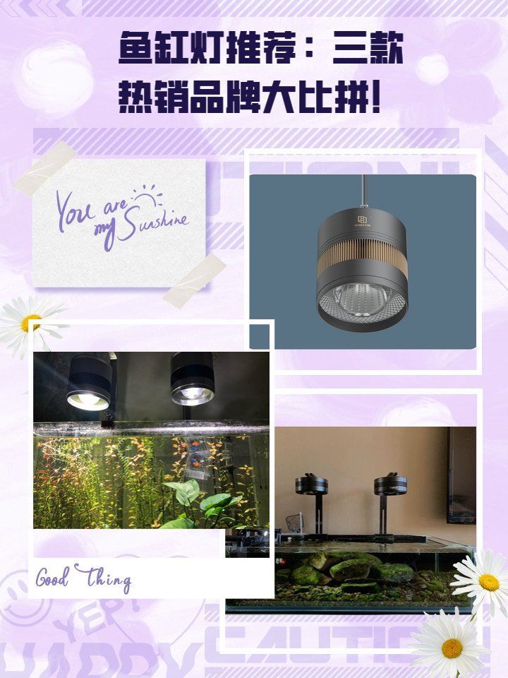 有哪些品牌龍魚缸燈值得推薦，龍魚缸燈值得推薦的幾大品牌龍魚缸燈值得推薦的品牌