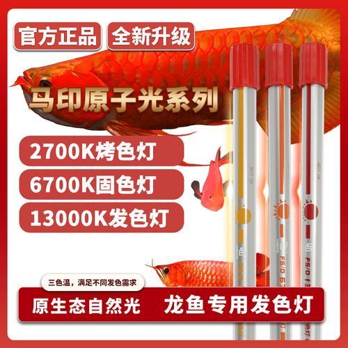 有哪些品牌龍魚缸燈值得推薦，龍魚缸燈值得推薦的幾大品牌龍魚缸燈值得推薦的品牌