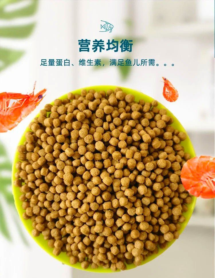 如何預(yù)防魚(yú)類腸炎，如何協(xié)同魚(yú)類腸炎