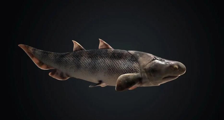 富拉爾基龍魚有哪些獨(dú)特特征？