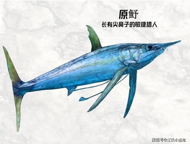 富拉爾基龍魚有哪些獨(dú)特特征？