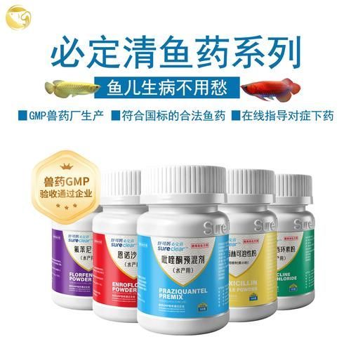 如何預防龍魚爛尾病復發，如何預防龍魚爛尾病的復發