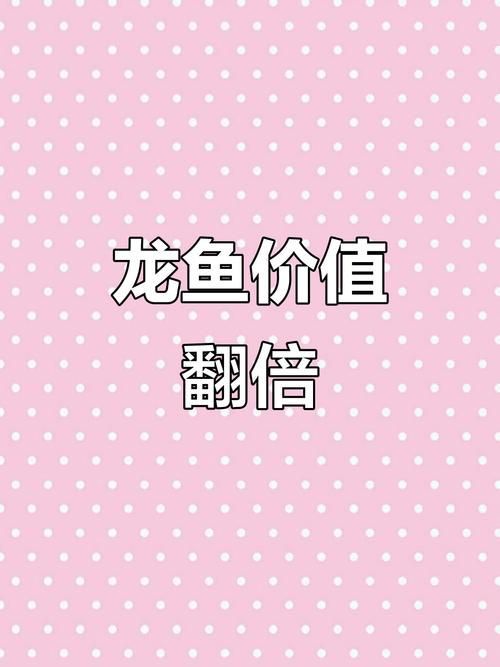 貴陽市龍魚價格波動大嗎？，貴陽市龍魚價格波動大嗎,貴陽龍魚價格波動大嗎