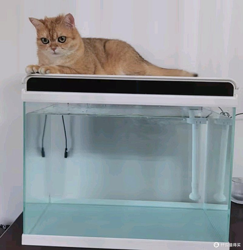 森森和博宇哪個品牌更好？，森森和博宇哪個品牌更適合新手森森和博宇熱門魚缸