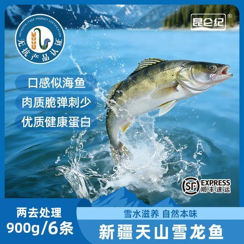 天山雪龍魚的市場價格是多少？，天山雪龍魚市場價格是多少天山雪龍魚市場價格是多少
