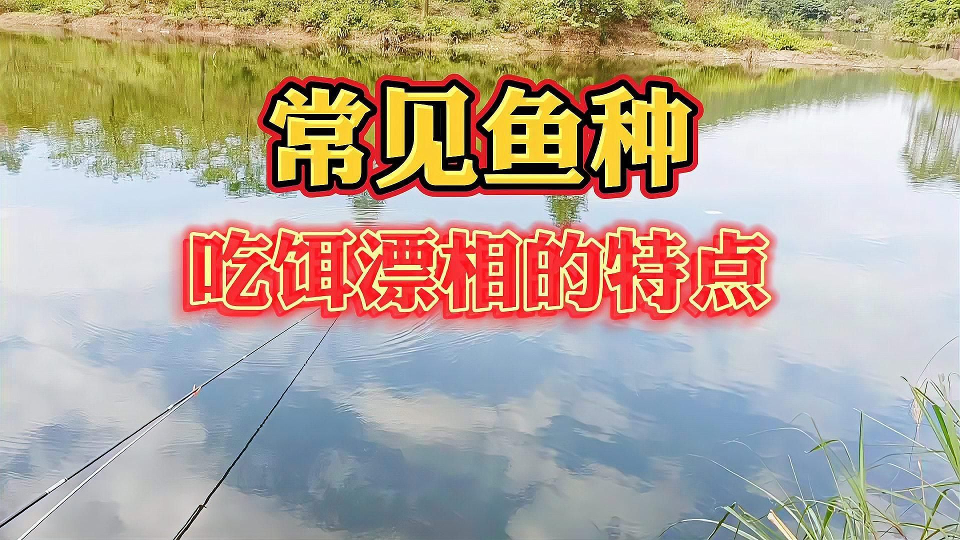 如何區分魚沉尾和其他漂相，如何區分“魚沉尾”和“正常漂相”