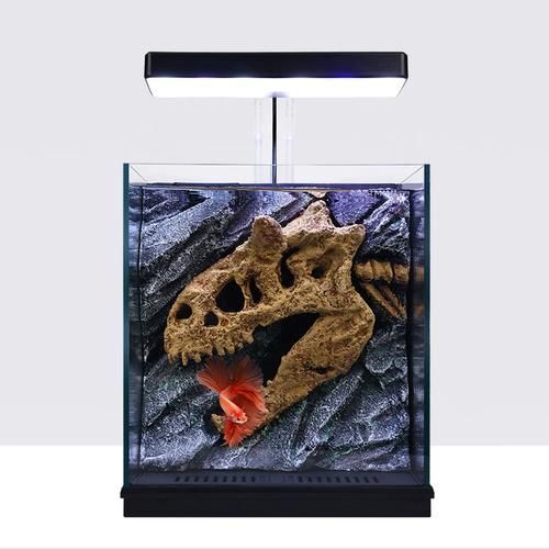 十大龍魚魚缸哪個品牌最好，十大龍魚魚缸哪個品牌最好十大熱門品牌解析